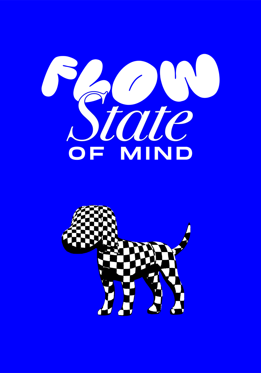 FLOW STATE OF MIND Notebook